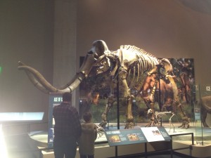 Mastodon 2