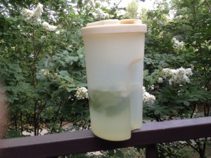 Ms. Mary's Summer Mint Water