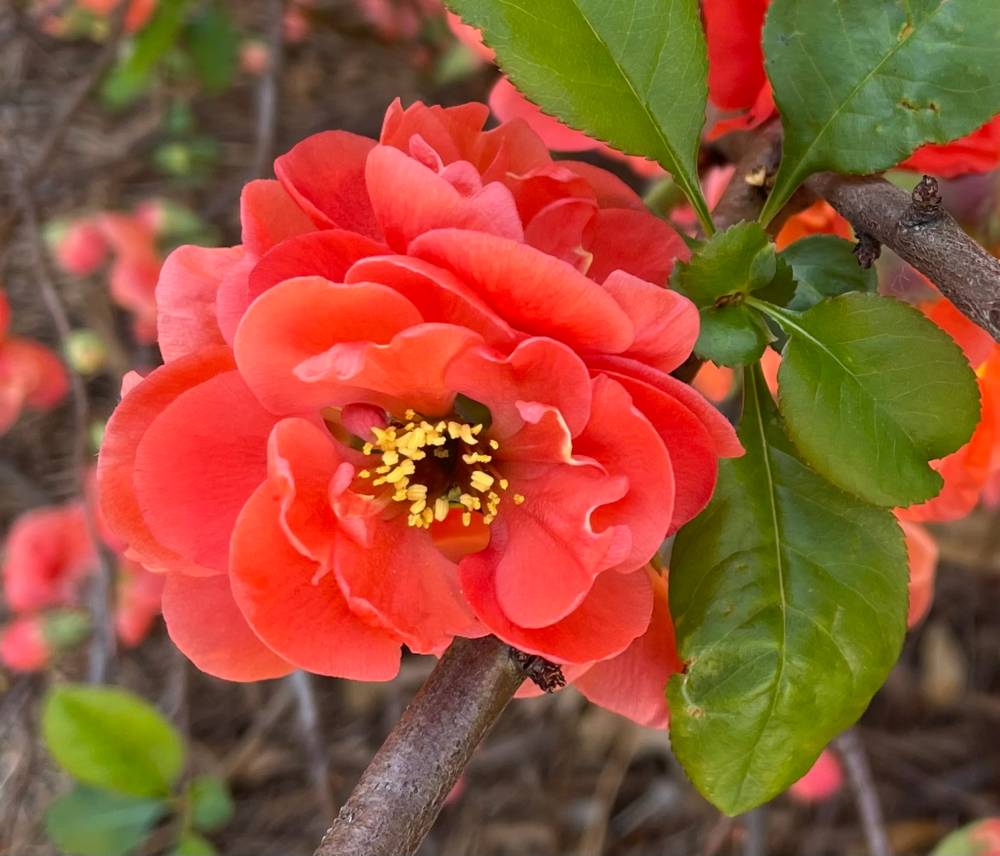 Uncle Joe Stories and Blog: New Short Storytelling Stories, Blog Posts, Flash Fiction and Original Photographs for Everyone